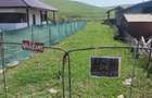 Teren intravilan Dezmir - 4