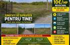 Vand teren intravilan com Gradistea sat rasa accept variante cu autoturisme - 1