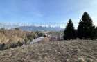 Teren 2,5 hectare in Simon, comuna Bran
