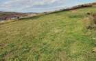 Teren agricol extravilan de 4600 mp, în Baciu - 1