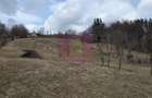 Teren intravilan de vanzare in Valea Doftanei - 3
