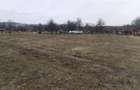 Teren de 3000 mp, în Vața de Jos