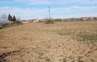 Snagov loturi intravilane - 1