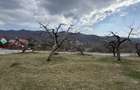 Teren intravilan + extravilan 9844 mp, Malu cu Flori, jud Dambovi?a - 7