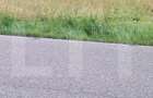 Teren la sosea, 5200 mp, localitatea Jena - 4