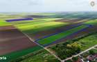 Teren cu potential 6,9 ha in Munar