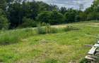 Teren intravilan in Patrauti zona centrala, liniste si natura