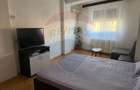 Apartament cu 1 camere de inchiriat in zona Brazda lui Novac - 7
