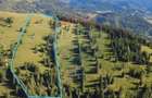 Teren 47,732mp Panaci / Strada MIhailet