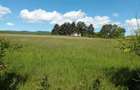 Teren extravilan 2200 mp Arcus -Valea Crisului - 2