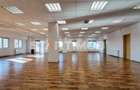 Spatiu birouri  zona Vlahuta  ITC - 10