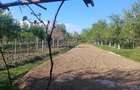 Casă cu 2 camere cu Teren 1800 Mp în Bumbești-Pițic - 3