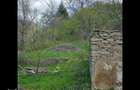 Teren de vis cauta proprietar. - 13