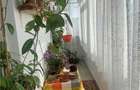 Zimbru 2 Camere Decomandat Bloc 1988 Etaj 3 Din 8 - 2