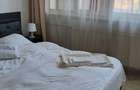 Inchiriez apartamentul 2 camere Parcul Circului, Tei - 3