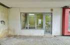 Vânzare Spațiu Comercial, 80 mp, planul 1- Nicolina- Belvedere - 4