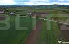Teren agricol, 5.200 mp, Comuna Sendriceni - 4
