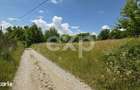 PANORAMA POIANA MARULUI | Teren cu potential de dezvoltare zona Afte