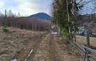 Teren Vatra Dornei (strada Rosu) - 5