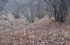 5000 mp teren in Potoci, Neamt - 5