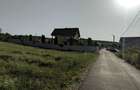De vanzare teren 10.000 mp (1 hectar) in Santuhalm, langa Deva, ideal pentru dezvoltare imobiliara - 2