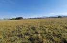 Teren proprietate 17800m,patrati,zona Subcetate,Sanpetru Brasov
