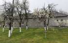 Casa cu anexe de vanzare in Com Frumuseni - 2