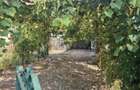 Casa 3 camere cu 1015m2 teren - 11