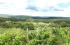 Vand teren Extravilan Buzau - Panorama de vis - 2