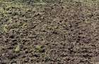 Vand teren intravilan Sat Lanurile - 2