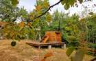 Poiană privată, pădure și cabană | Proprietate cu potențial turistic - 5