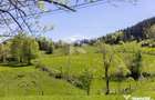 Fundata | Teren intravilan | 7,656 mp + Cabane tip A Frame - Fundata (Brasov)