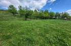 Teren intravilan 2500 mp + casa + anexe, CF 62707 Dej (Pintic nr. 223) 32.500 Euro Neg. - 4