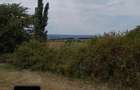 livada pe rod la strada ...jud Vaslui - 3