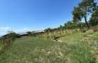 Teren intravilan 1300 mp toate utilitatile sat Tamasi - 5