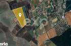 Oportunitate dezvoltare Corbeanca / Ostratu, PUZ aprobat - 3