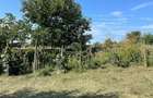 Casa si teren 2700 mp,Odobesti-Bacau,la sosea - 1