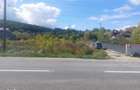 Vand 4352 mp teren in Bascov cu deschidere 22m la DN7C - 2