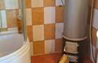 Vind casa serbanesti suceava - 4
