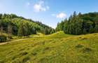 Poiana Bra?ov, Teren intravilan 2.763 mp , utilitati, Str. Stanii, - 4