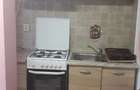 inchiriez apartament 2 camere Carpati 2 Satu Mare - 4