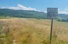 Teren de 1237 mp, în Șerbăneasa - 1