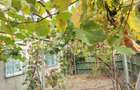 Casa 65 mp, 500 mp curte, 11,30 mp deschidere, Malu Mare