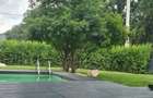 Vila 5 Camere I BALOTESTI I Individuala si teren de 1000 mp - 7