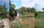 Se vinde o casa frumoasa in Curtici - 5