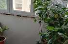 Apartament 2 camere, Alexandria, Teleorman - 5