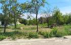 Teren intravilan 2440 m2 - 4