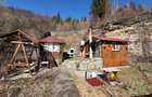 Casa de vacanta si teren intravilan, 425 mp, Valea Ierii - 9