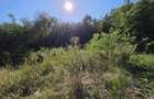 Vand proprietate - Valea Mare (Dambovi?a) - 10