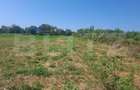 Teren agricol de vanzare, 1600 mp, zona Micro 11 - 2